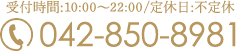 受付時間:10:00～22:00/定休日:不定休 042-850-8981