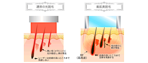 実証された効果と安全性