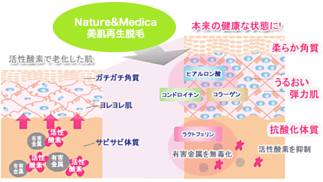 美肌再生脱毛の効果